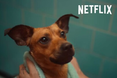 Netflix: disputa fiscal com Brasil derruba meta de lucro
