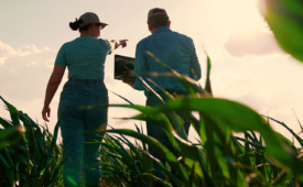 (Crédito: Shutterstock)