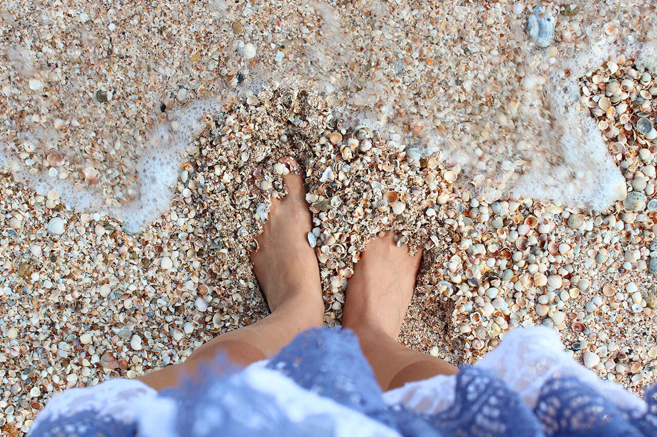 Mapeamento destaca atuação feminina na conservação marinha