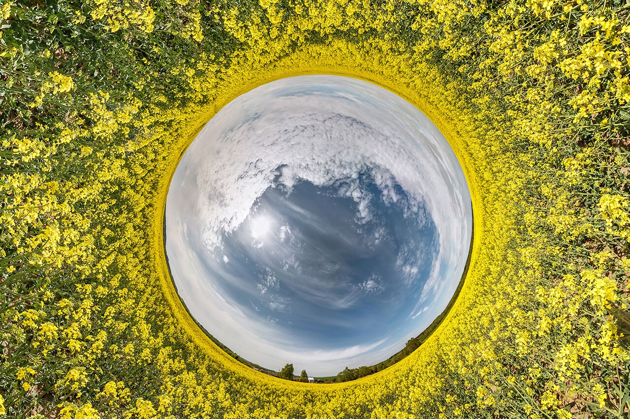 A hora e o papel do Brasil na nova economia mundial