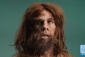 Primo Rico vs PrimiTivo