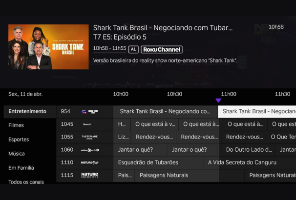 Live TV (FAST Channel) Guide on Roku in Brazil