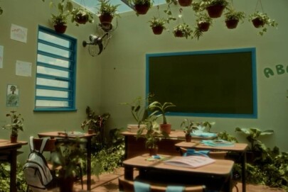 Campanhas da Semana: COP 30 e sustentabilidade