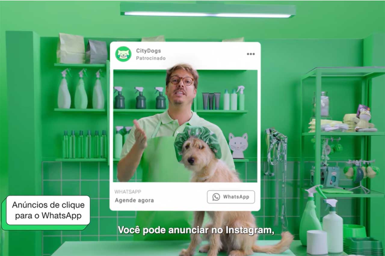 Com Porchat, WhatsApp se mostra aliado de pequenos negócios
