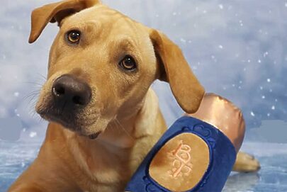 Bruna Tavares e Petlove criam pelúcia para pets