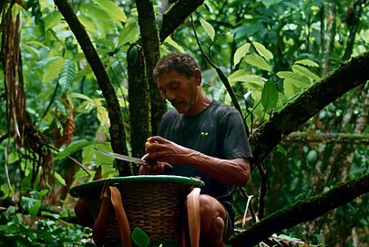 Vale coloca preservação ambiental como prioridade para 2026