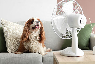 Verão aquece vendas de ar-condicionado e ventiladores