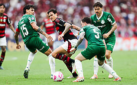 Flamengo e Palmeiras no Brasileirão 2025