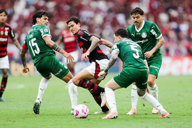 Flamengo e Palmeiras no Brasileirão 2025