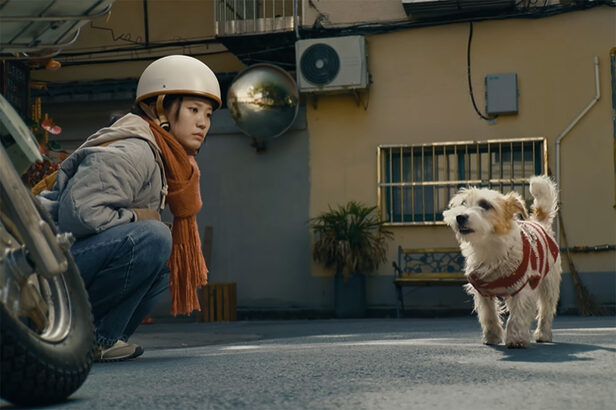 Apple Ano Novo Chinês