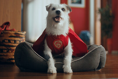 Bradesco aposta em cachorro para falar de Pix