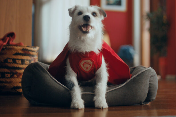 Cachorro "Super Pix" é o personagem da nova comunicação do Bradesco (Créditos: Divulgação)