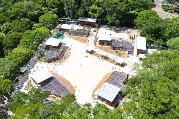 Orla TotalPass reúne quadras de areia e áreas de convivência no Parque Villa-Lobos (Crédito: Divulgação)