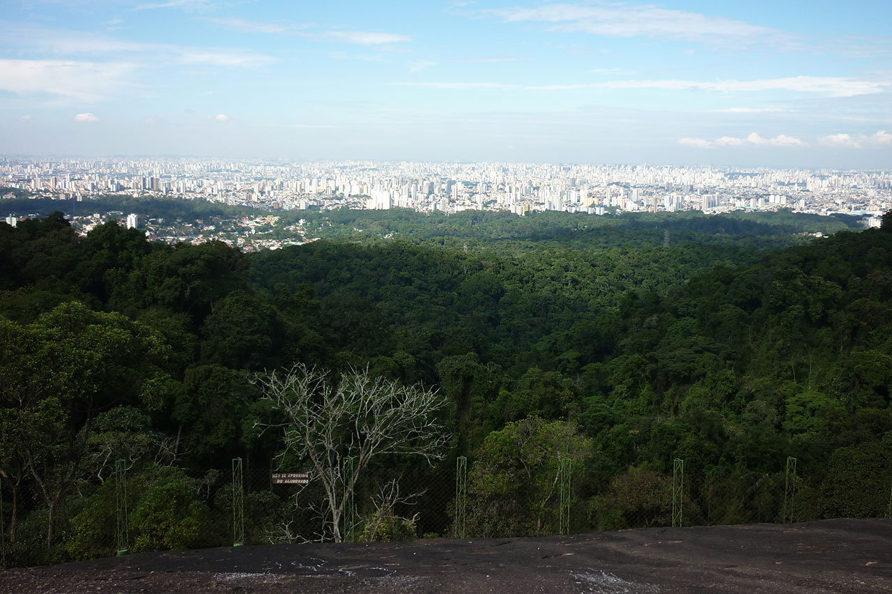São Paulo criativos