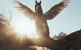 budweiser super bowl