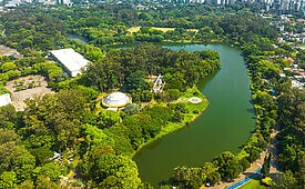 Smart Fit firma parceria com a Urbia para oferecer atividades gratuitas no Parque Ibirapuera a partir de março (Créditos: pauloalberto82/Shutterstock)