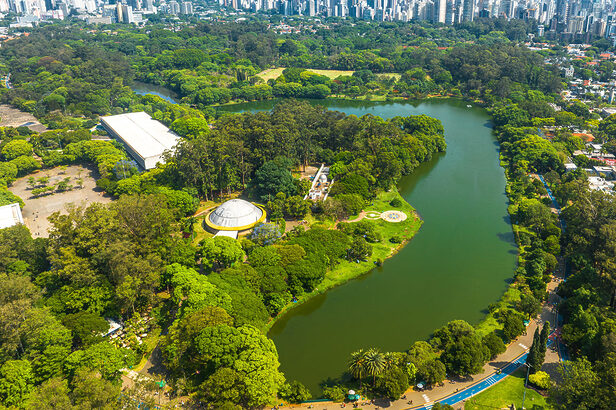 Smart Fit firma parceria com a Urbia para oferecer atividades gratuitas no Parque Ibirapuera a partir de março (Créditos: pauloalberto82/Shutterstock)