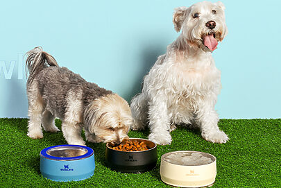 Stanley traz linhade produtos para pets ao Brasil
