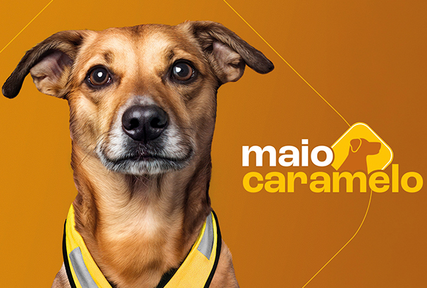 Honda mobilizou pet influencers para transformar conscientização no trânsito em movimento cultural