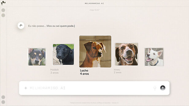 Pedigree escolhe Felca para estimular adoção de cães (Créditos: Divulgação)