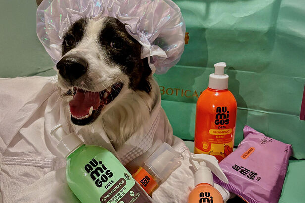 BBB26 Au.Migos Pets Lindolfo