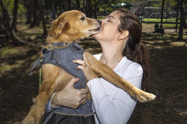 Com Vetlove, Petlove quer levar bem-estar para os médicos-veterinários (Crédito: Divulgação)