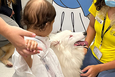 Petlove leva cães para visitar pacientes do Graacc
