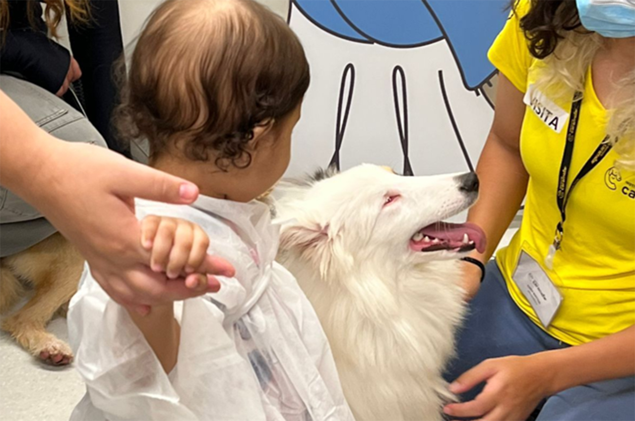 Petlove leva cães para visitar pacientes do Graacc