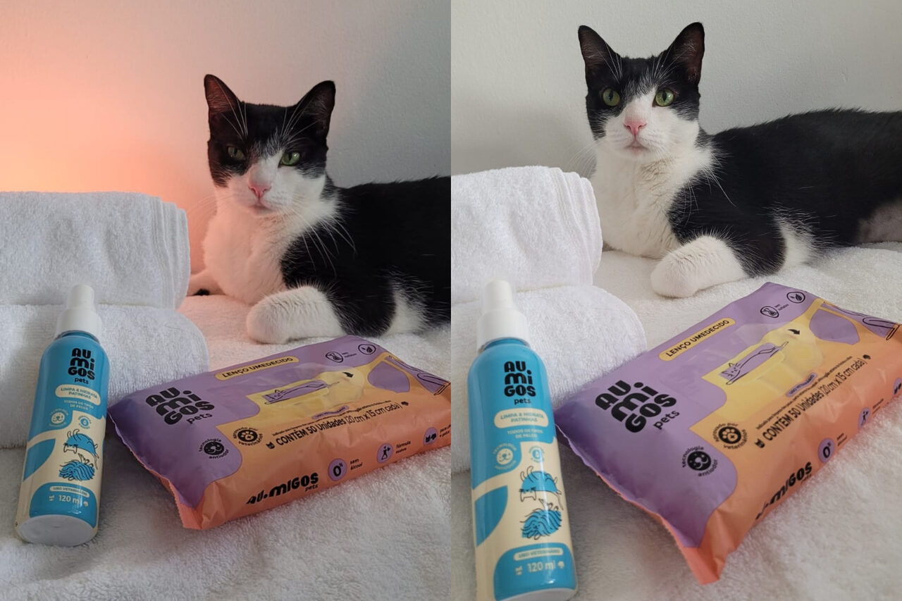 Au.Migos escala gata de “O Agente Secreto” para ação na semana do Oscar