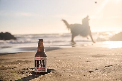 Lagunitas estreia no TikTok Shop com linha para pets