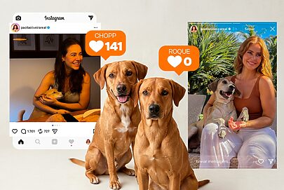 Para incentivar adoção, GoldeN troca pet de Paolla Oliveira