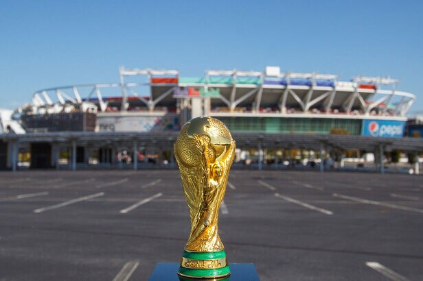 Jovens tem alto nível de engajamento com a Copa do Mundo, diz estudo da Trope-se (Crédito:paparacy-shutterstock