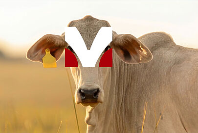Mirando crescimento, MBRF tem nova marca corporativa