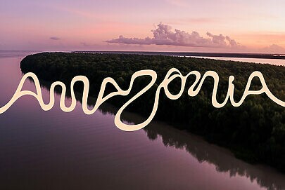Marca oficial da Amazônia busca Leões em Cannes