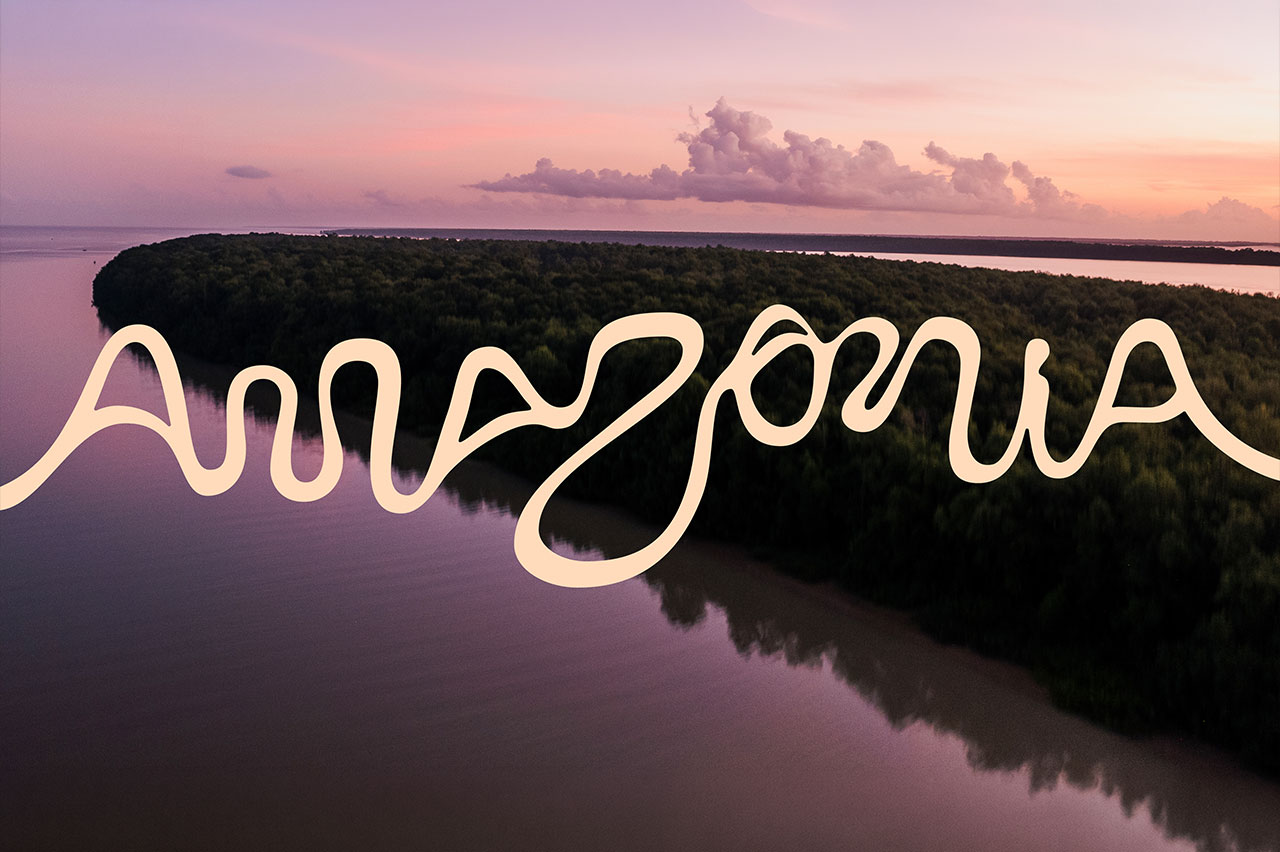 Marca oficial da Amazônia busca Leões em Cannes