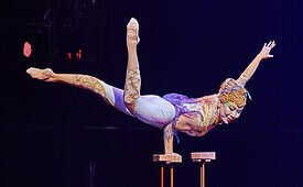 Cirque du Soleil