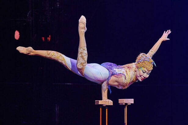 Cirque du Soleil