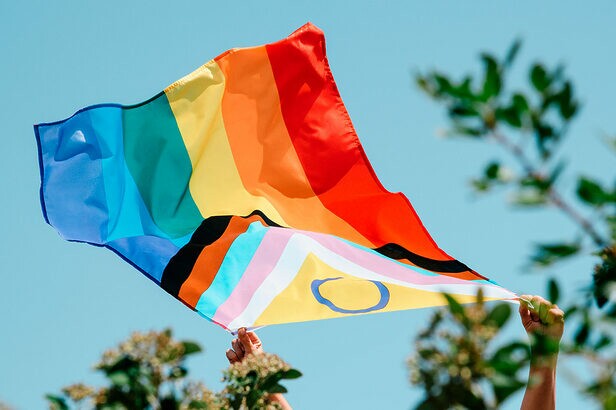 Presença de profissionais LGBT+ diminui nos cargos mais altos das empresas (Créditos: Nito/Shutterstock)