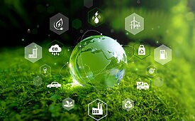 sustentabilidade