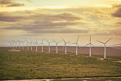 Neooh quer neutralizar emissões de carbono de seus ativos