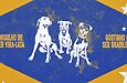 Pedigree convida Brasil a ressignificar o termo vira-lata