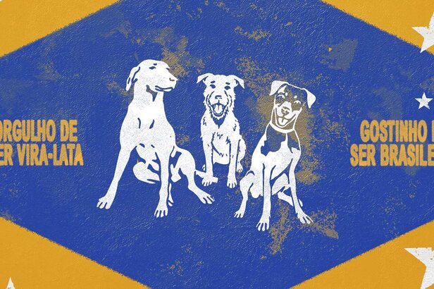 Pedigree traz vira-lata para centro da sua comunicação em campanha que tem Ronaldinho Gaúcho como protagonista (Crédito: Divulgação)