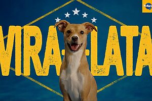 Pedigree | Orgulho em Ser Vira-Lata