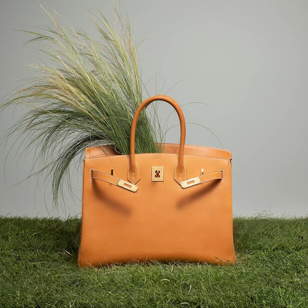 Birkin Bag