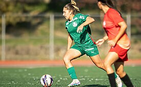 Palmeiras será um dos representantes brasileiros na 6ª edição da Brasil Ladies Cup (Crédito: Reprodução)