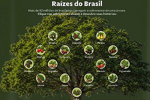 Globo e Vale querem reforçar a relação do Brasil com as árvores (Crédito: Divulgação)