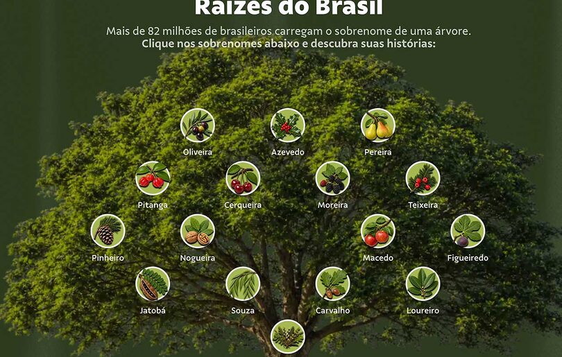 Globo e Vale querem reforçar a relação do Brasil com as árvores (Crédito: Divulgação)