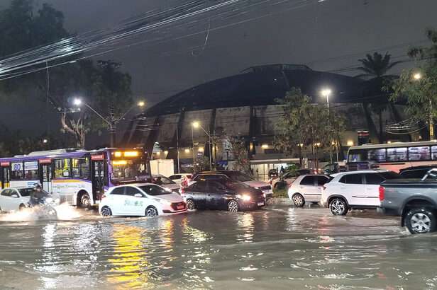 Recife/ Pernambuco- 24 de abril 2026 (Crédito: Remi-C.-Lapa-shutterstock)