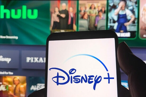 Disney+ adiciona novos parceiros ao programa de vantagens no Brasil (Créditos: photo-agency-adobestock)