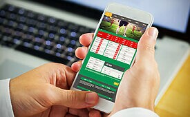 Mãos seguram smartphone com aplicativo de apostas esportivas, exibindo jogos de futebol e odds.
